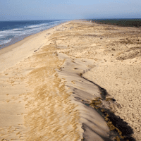 Le littoral médocain et son cordon dunaire - Syndicat mixte Pays Médoc, Zoé TV et Databirds
