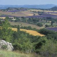 Les environs de Vachères © PNR Luberon 