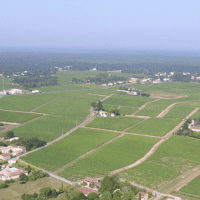 Les terrasses viticoles - Syndicat mixte Pays Médoc, Zoé TV et Databirds