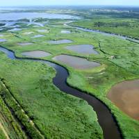 Delta de la Leyre © B.Ruiz - SIBA/PNRLG