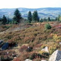 Mont Chaussitre © PNR Pilat