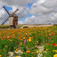 Moulin de Dosches © PNR Forêt d'Orient-Pierre Garraud