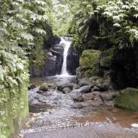 Parc naturel régional de la Martinique © PNR Martinique