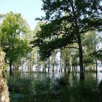 Parc naturel régional de la Forêt d'Orient © PNR Forêt d'Orient