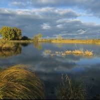 Paysage de Brenne © PNR Brenne/Hellio-Van Ingen