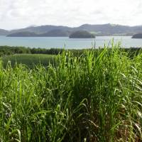Paysage du Parc naturel régional de la Martinique © FPNRF/NS