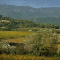 Paysage du Sud du Luberon © PNR Luberon 