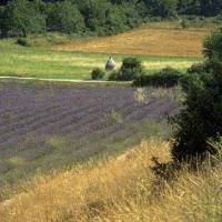 Petite borie © PNR Luberon 