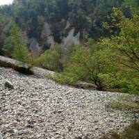 Pirrier de Saint-Léonard-des-Bois (Vallée de Misère) © Parc naturel régional Normandie-Maine