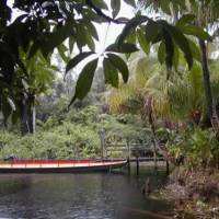 Parc naturel régional de Guyane © PNR Guyane
