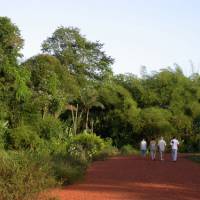 Parc naturel régional de Guyane © PNR Guyane