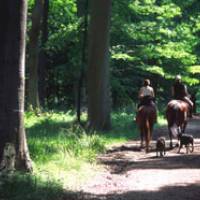 Promeneurs © PNR Oise-Pays de France