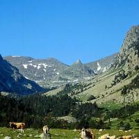 Pyrénées catalanes © Jérôme Bussiere