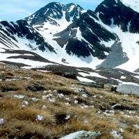 Pyrénées catalanes © Jérôme Bussiere