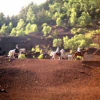 Randonnée à cheval sur la Chaîne des Puys © PNR Volcans d'Auvergne