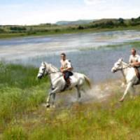 Randonnée à cheval dans le Cantal © PNR Volcans d'Auvergne / Philippe Pionnin