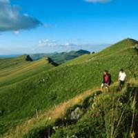 Randonnée dans les Monts Dore © PNR Volcans d'Auvergne - Pierre Soissons