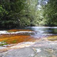 Rivière © PNR Guyane