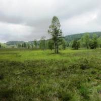 Tourbière de Négarioux © PNR Millevaches en Limousin 