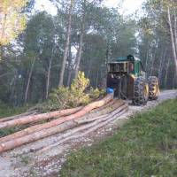 Travaux de débroussaillement © PNR des Alpilles