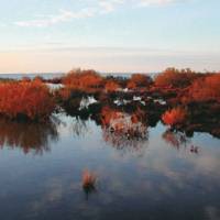 Étang de Vaccarès © PNR Camargue