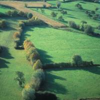 Vue aérienne du bocage © PNR Avesnois / Samuel Dhote