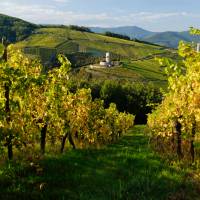 Château du Wineck Katzenthal©Benoit Facchi