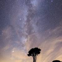 Ciel étoilé avec arbre et camping à la belle étoile©Vincent Astier-Perret PNR du Vercors