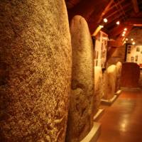 Musée des mégalithes, Murat sur Vebre- Photo CDT81