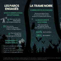 Infographie Redécouvrir la nuit - page 2