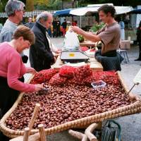 La châtaigne, emblème du Parc des Monts d'Ardèche se fête lors des Castagnades d'automne