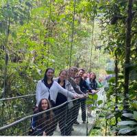Ponts suspendus - Monteverde