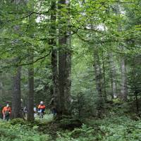 Visite du jury sur une parcelle - Julien Arbez PNR Haut-Jura