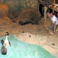 Expo milieux aquatiques © Maison de la Réserve Lac de Remoray