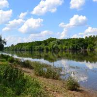 Bords de Vienne©PNR Loire Anjou Touraine