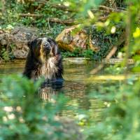 Bioparc PNR Loire Anjou Touraine©S Gaudard