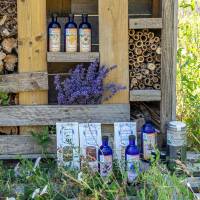 Gamme produits Polina Cutivel