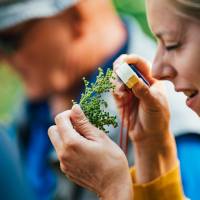 Le monde des plantes sauvages / Photo : PnrL / Bartosh Salmanski