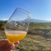 Domaine Mas Caron