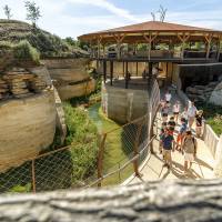 Bioparc PNR Loire Anjou Touraine©S Gaudard