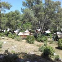 Camping Huttopia Fontvieille - pinède