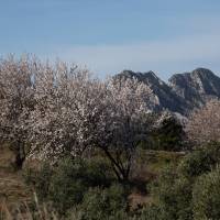 Hameau de la place - vue sur les Alpilles