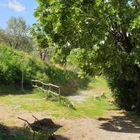 Emplacement de camping