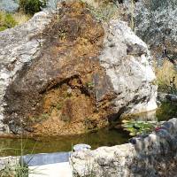 Olives en Provence - PNR Sainte-Baume