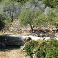 Olives en Provence - PNR Sainte-Baume