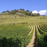 Les terroirs du Plantaurel