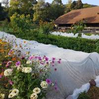Les Jardins de Wesserling