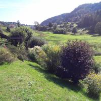 le petit chalet Basse-sur-le-Rupt