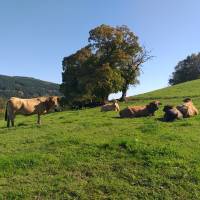 © Le Grand Karadok / Parc naturel régional du Morvan