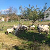 © Le Grand Karadok / Parc naturel régional du Morvan